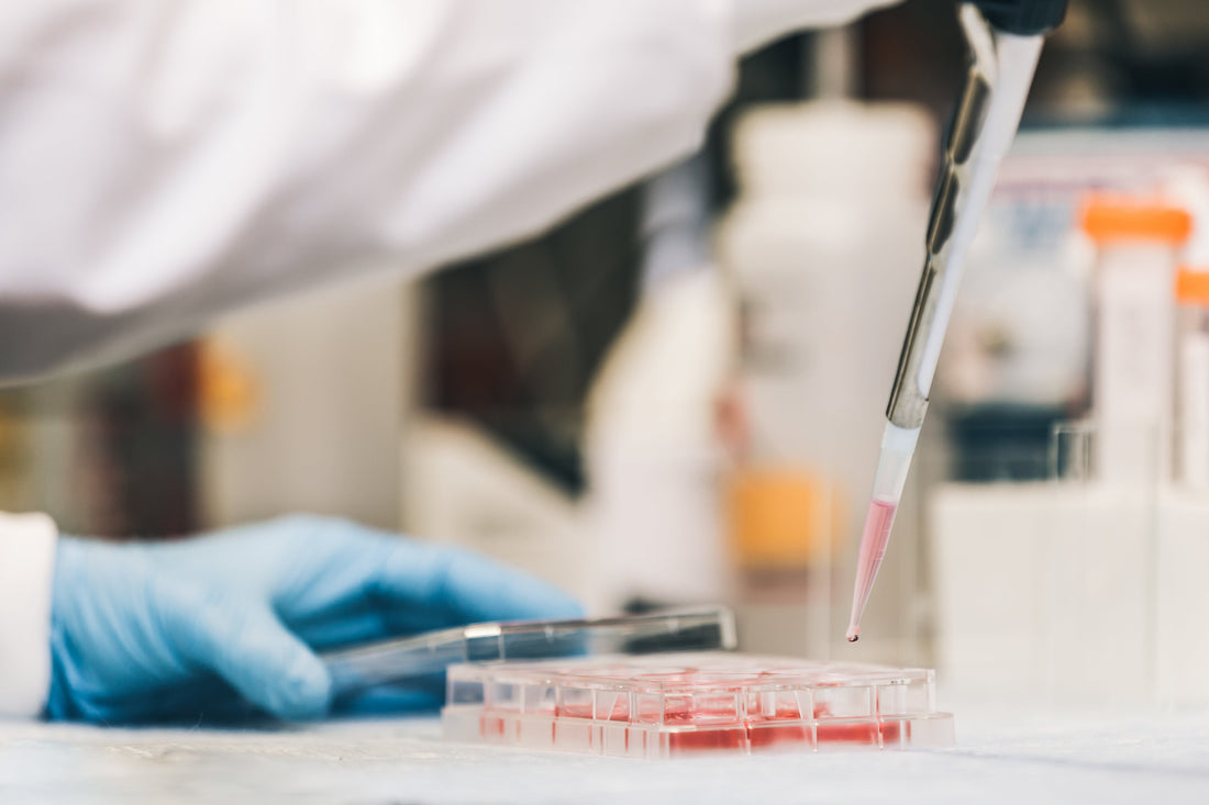 What Are Research Peptides? A Beginner's Guide